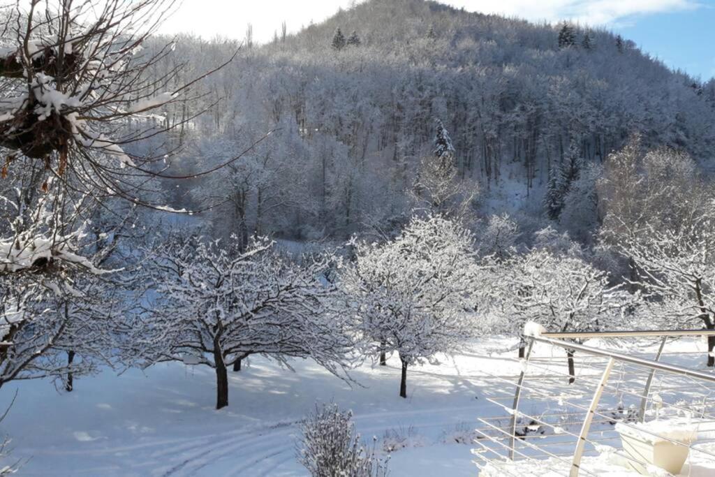 Saint-Jacques-en-Valgodemard Gite "Entre Champsaur Et Valgodemard" מראה חיצוני תמונה