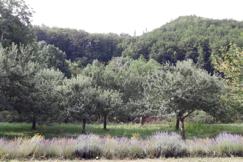 Saint-Jacques-en-Valgodemard Gite "Entre Champsaur Et Valgodemard" מראה חיצוני תמונה